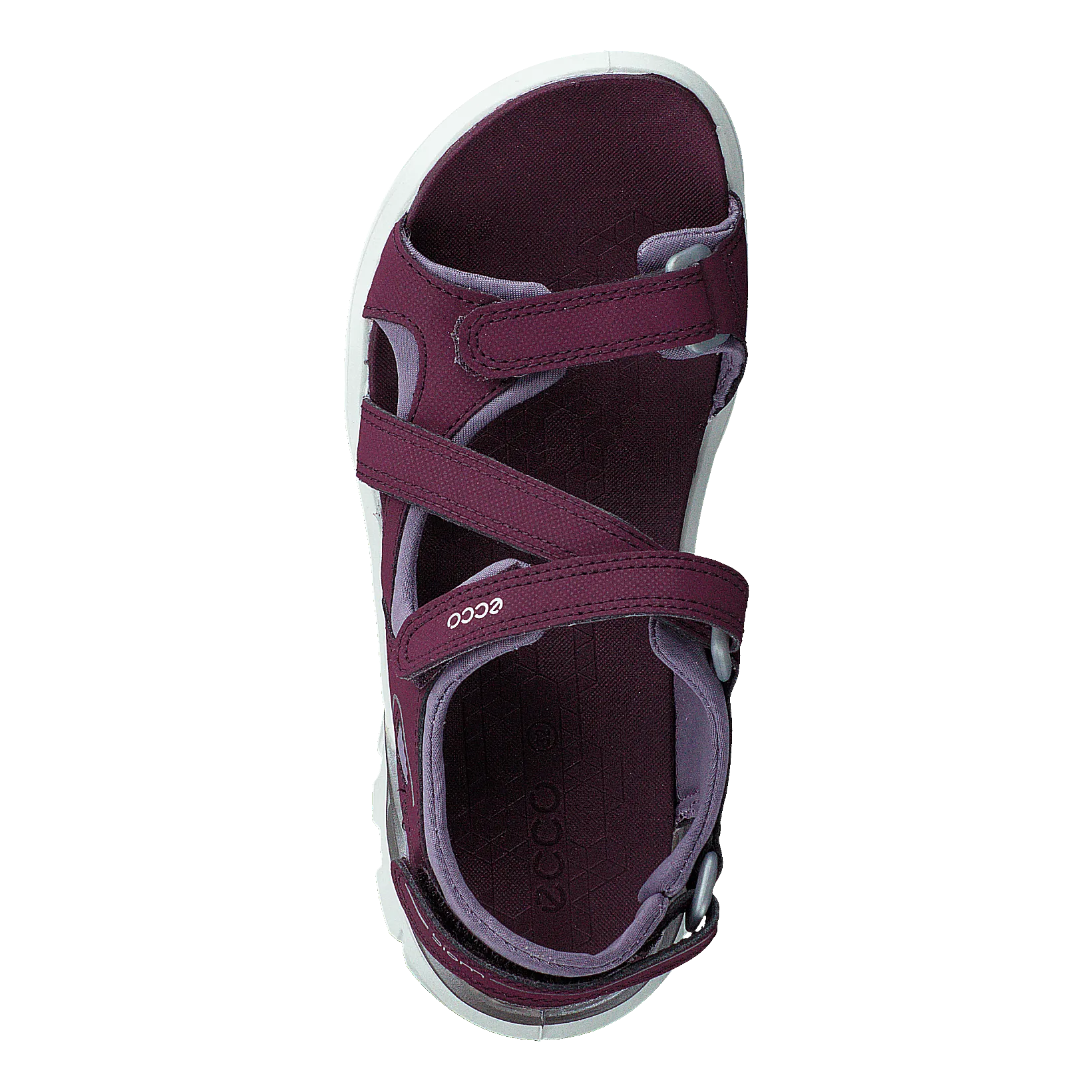 Biom Raft Aubergine