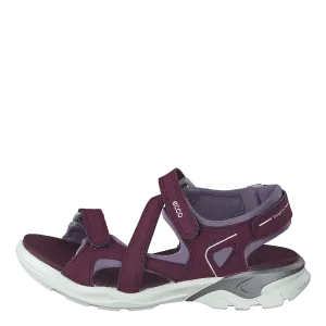 Biom Raft Aubergine