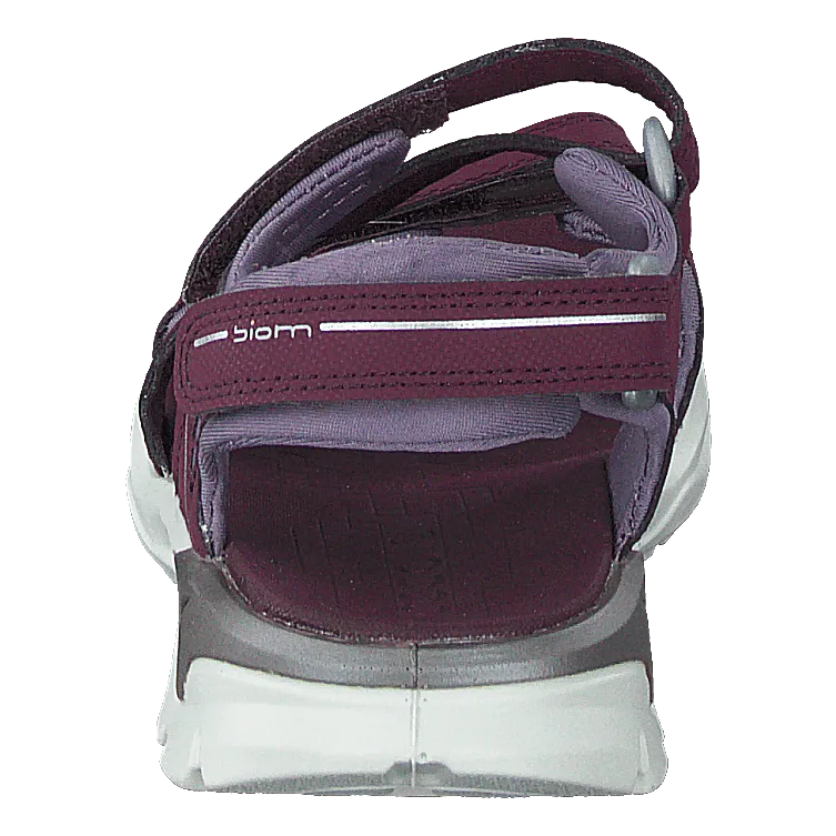 Biom Raft Aubergine