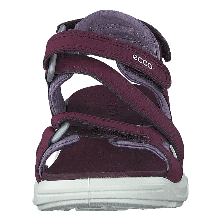 Biom Raft Aubergine