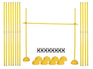 Champion Sports Agility Plyo Hurdle Set