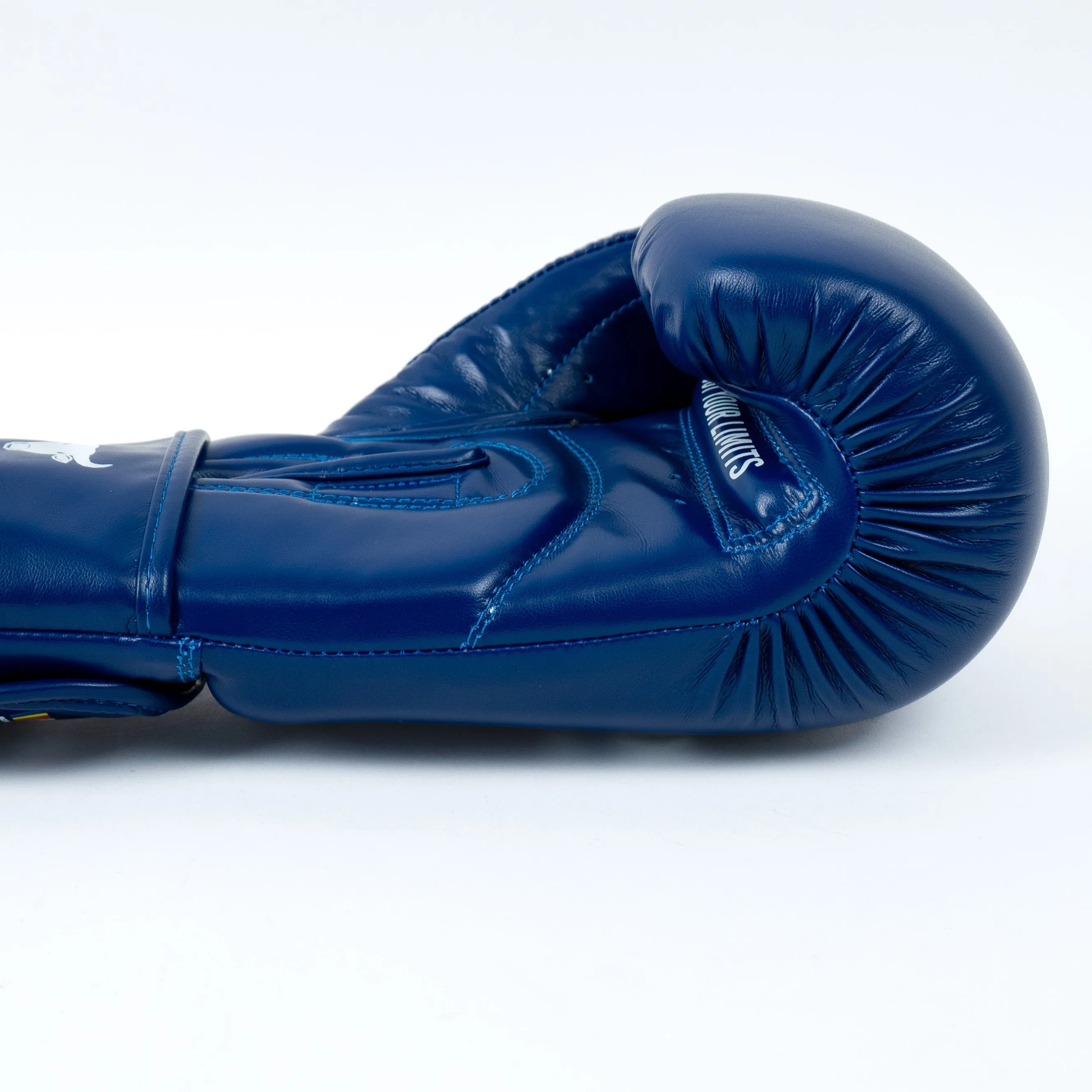 Knockout Kempo Boxing Gloves