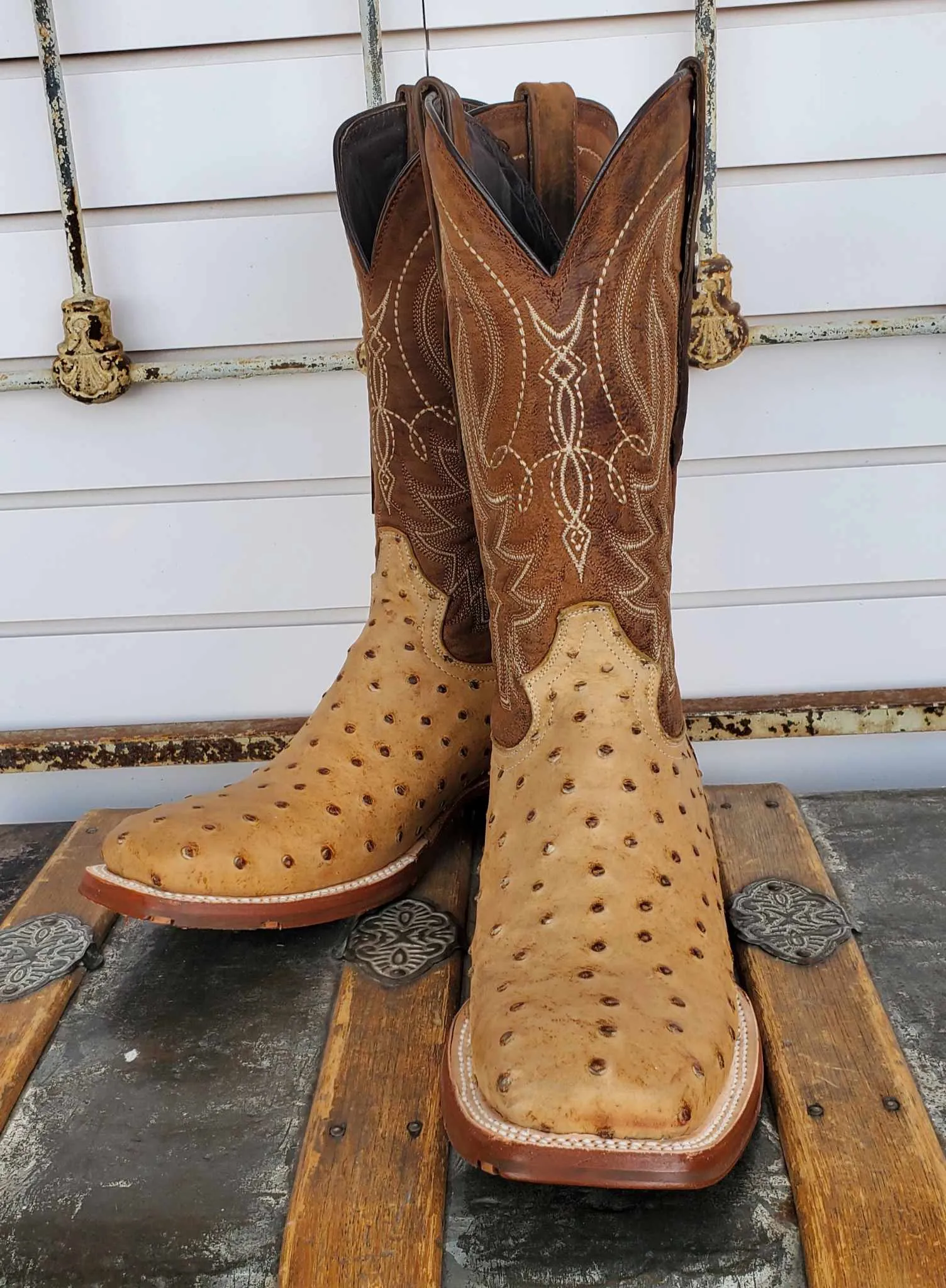 Men's Tanner Mark Antique Ostrich Print Boot