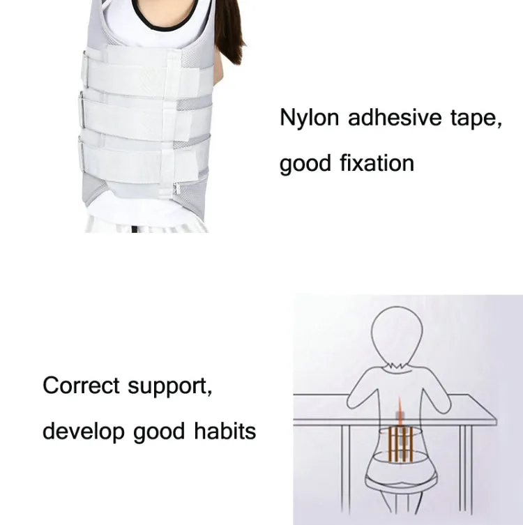 Mesh Style Thoracolumbar Fixation Belt Strap Type Protective Gear Without Airbag, Specification: L