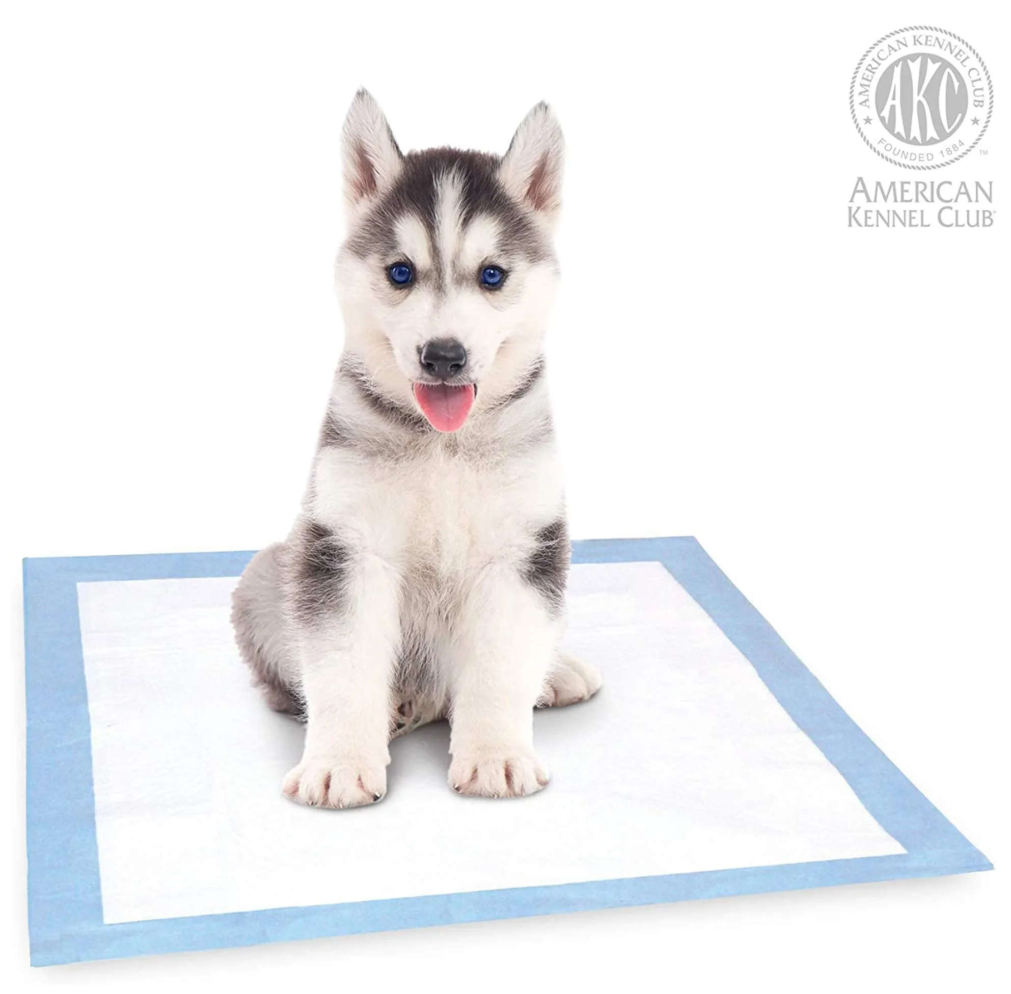 Pet Training and Puppy Pads -Regular and Extra Large